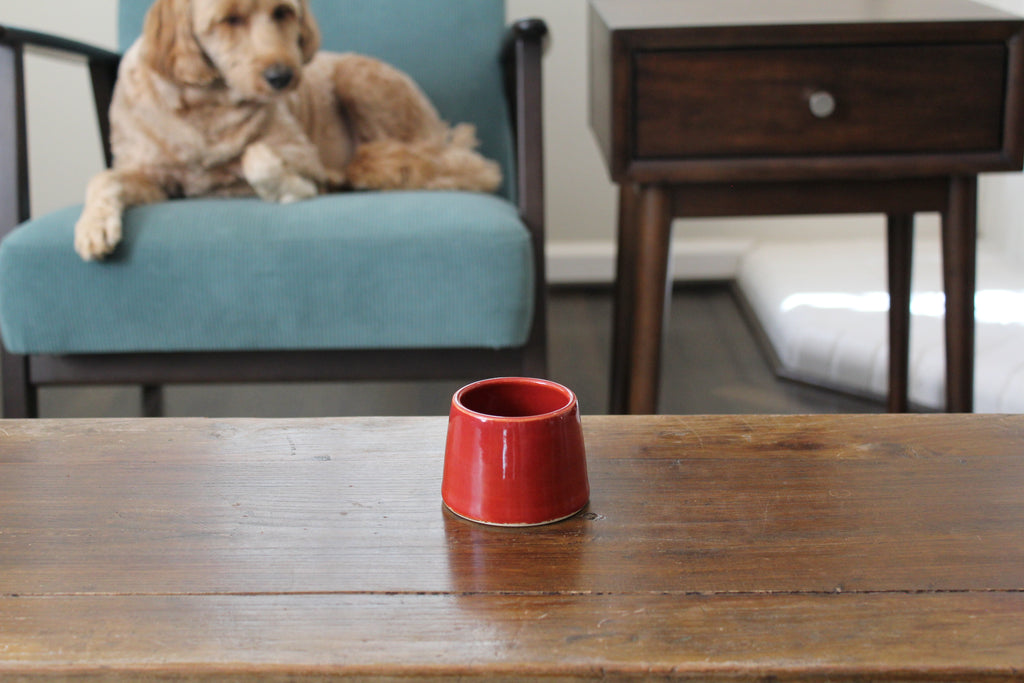 Signature Memorial Compact (3-Pack)