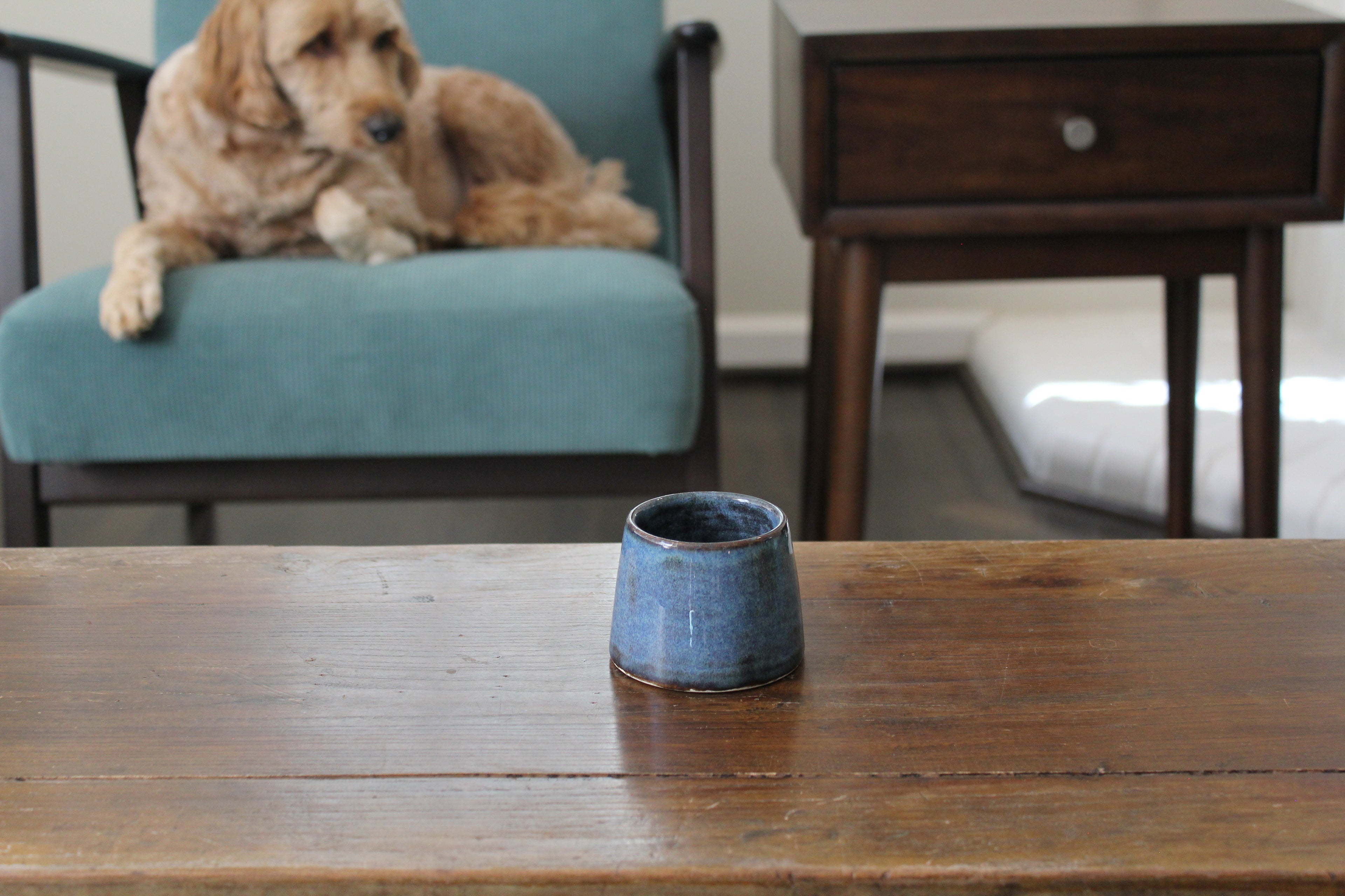 Signature Memorial Compact (3-Pack)