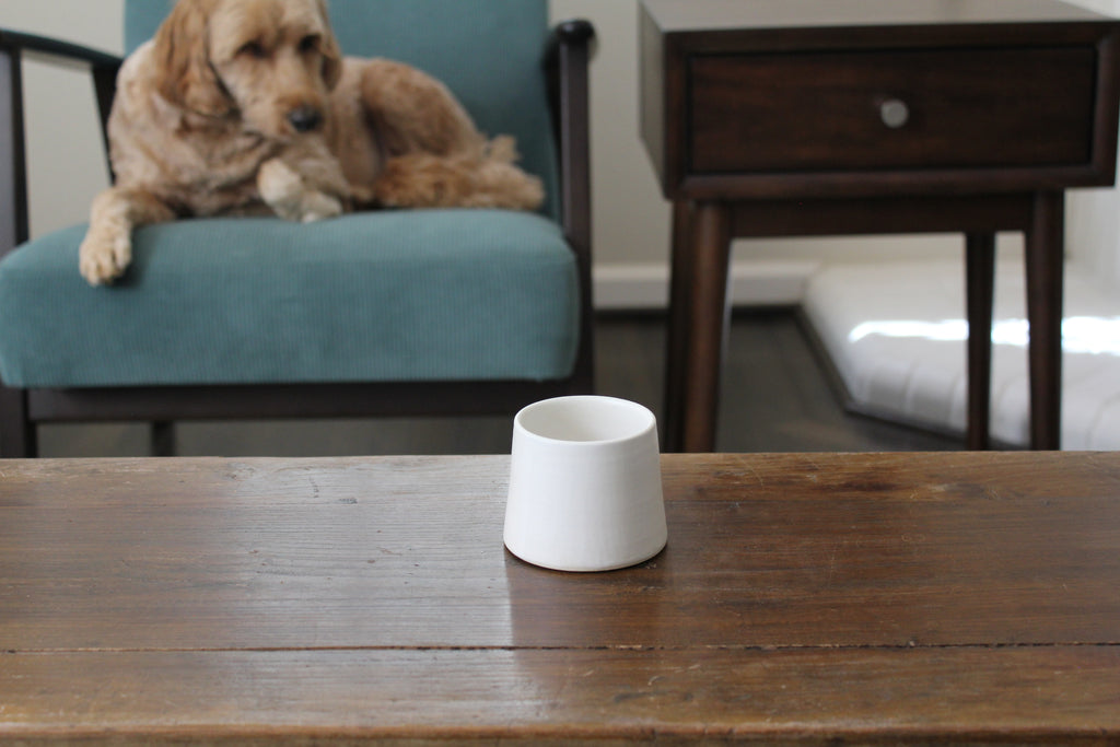 Signature Memorial Compact (3-Pack)